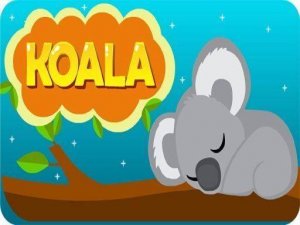 Koala Star Collector Arcade