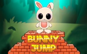Rabbit Platform Leap Adventure