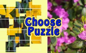 Mind Gym: Pattern & Reasoning Puzzles