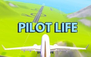 Aero Commander Air Travel 3D