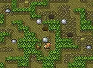 Forest Nut Path Puzzle