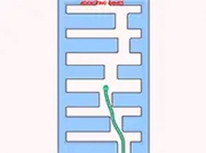 Cute Snake Online Game - Fun Dodge Challenge Arcade Game