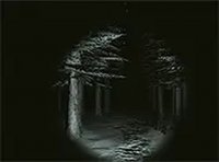 Cabin Mystery Quest: Adventure Puzzle