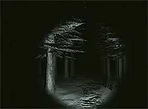 Cabin Mystery Quest: Adventure Puzzle