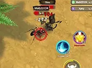 Bug Combat Championship